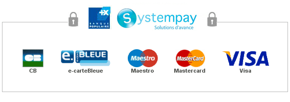 Logo paiements sécurisés